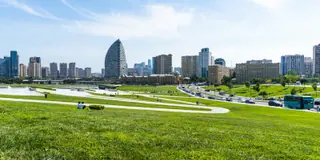 Modern city buildings beyond a vivid green park